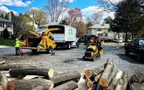  Chickasaw, AL Tree Removal and Landscaping Services Pros